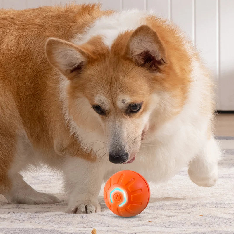 Automatic Interactive Dog Toy Ball – USB Chew & Jumping Toy for Puppies
