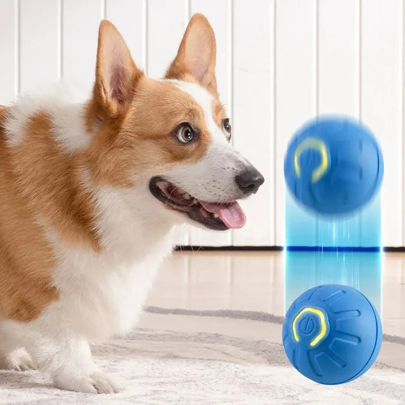 Automatic Interactive Dog Toy Ball – USB Chew & Jumping Toy for Puppies