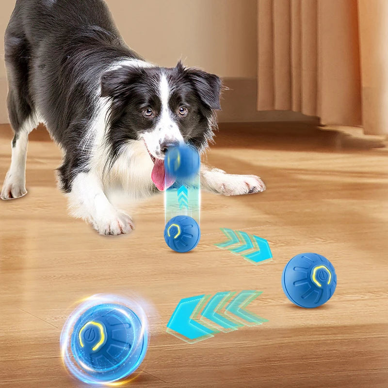 Automatic Interactive Dog Toy Ball – USB Chew & Jumping Toy for Puppies