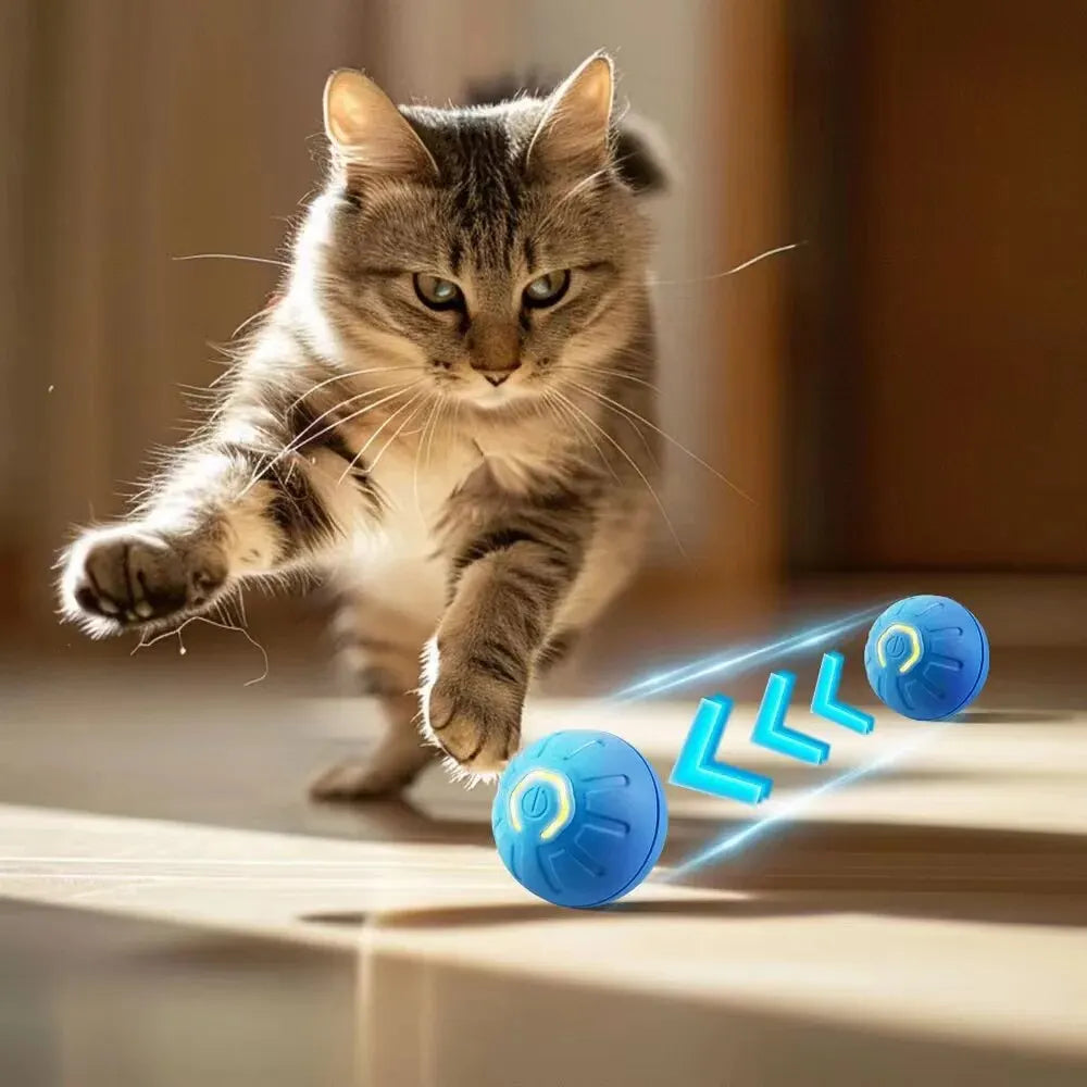 Automatic Interactive Dog Toy Ball – USB Chew & Jumping Toy for Puppies