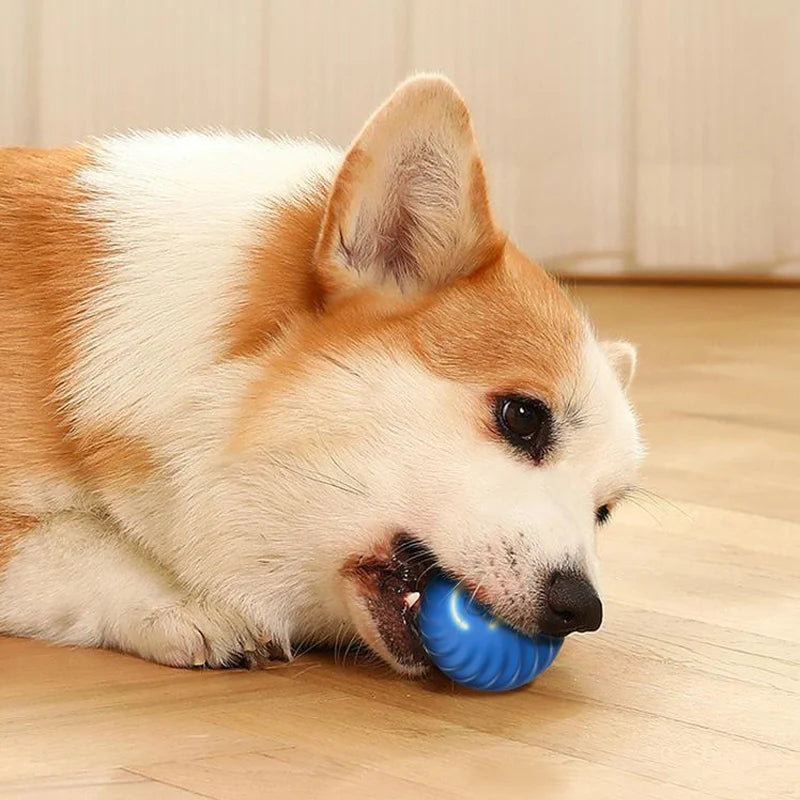 Automatic Interactive Dog Toy Ball – USB Chew & Jumping Toy for Puppies